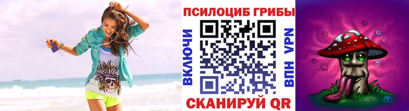 Псилоцибиновые грибы Psilocybe  Приморск 